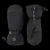 Alpine Mitten Gore Tex perform 24/25, alpinvante unisex - Skidhandskar - Alpine Mitten Gore Tex perform 24/25, alpinvante unisex