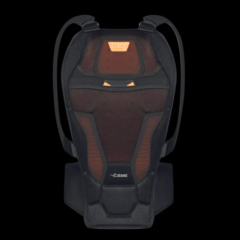 Back Protector VIPER D30 24/25, ryggskydd, unisex - Ryggskydd - Back Protector VIPER D30 24/25, ryggskydd, unisex