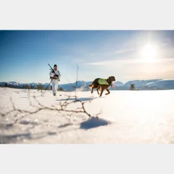 BC Skis Kongsvold Hunter 24/25, jaktskida senior - Tur - BC Skis Kongsvold Hunter 24/25, jaktskida senior