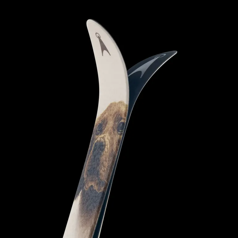 BC Skis Kongsvold Hunter 24/25, jaktskida senior - Tur - BC Skis Kongsvold Hunter 24/25, jaktskida senior