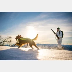 BC Skis Kongsvold Hunter 24/25, jaktskida senior - Tur - BC Skis Kongsvold Hunter 24/25, jaktskida senior