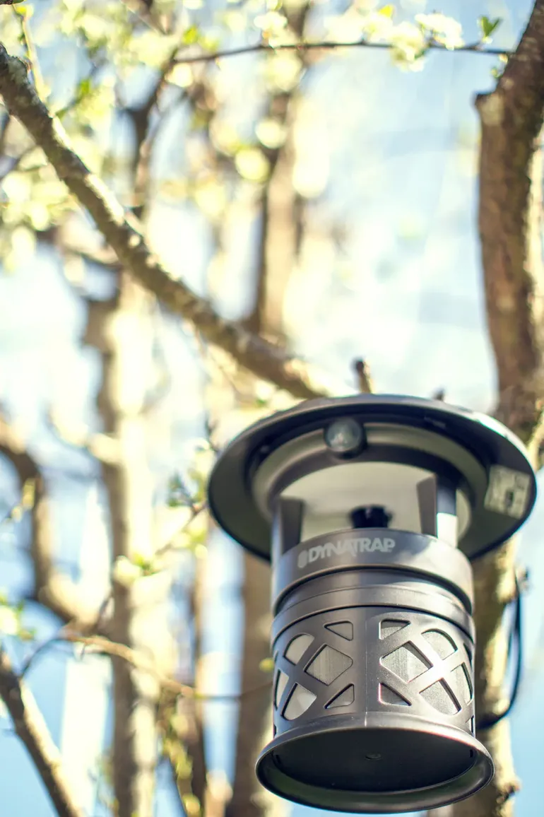 Dynatrap Knott & Myggfelle, myggfälla - Myggfritt - Dynatrap Knott & Myggfelle, myggfälla