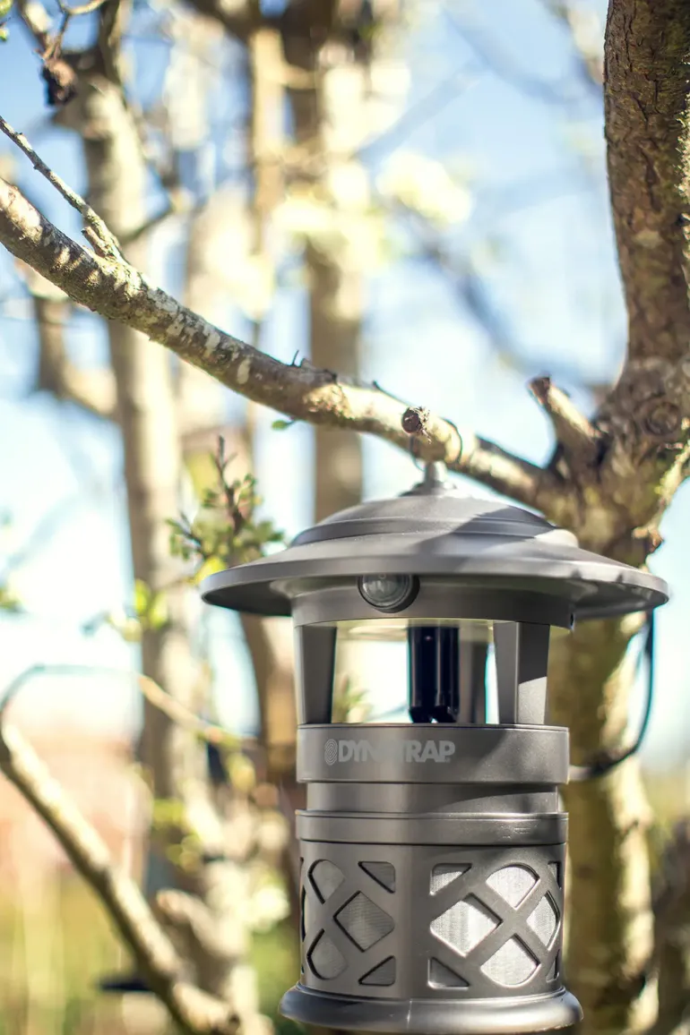 Dynatrap Knott & Myggfelle, myggfälla - Myggfritt - Dynatrap Knott & Myggfelle, myggfälla