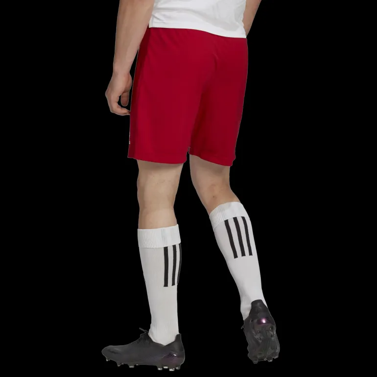 ENT22 Shorts, träningsshorts herr - Shorts - ENT22 Shorts, träningsshorts herr