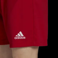 ENT22 Shorts, träningsshorts herr - Shorts - ENT22 Shorts, träningsshorts herr