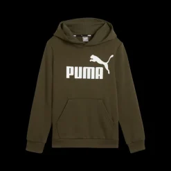 ESS Big Logo Hoodie FL B, huvtröja, junior - Fritidströjor - ESS Big Logo Hoodie FL B, huvtröja, junior
