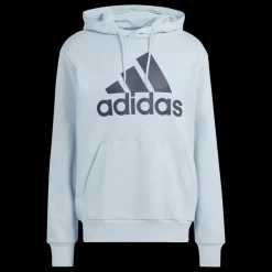 Essential French Terry Big Logo, huvtröja, herr - Hoodtröjor - Essential French Terry Big Logo, huvtröja, herr