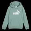 Essential No. 1 Logo Hoodie TR PS, huvtröja, barn - Fritidströjor - Essential No. 1 Logo Hoodie TR PS, huvtröja, barn