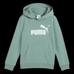 Essential No. 1 Logo Hoodie TR PS, huvtröja, barn - Fritidströjor - Essential No. 1 Logo Hoodie TR PS, huvtröja, barn