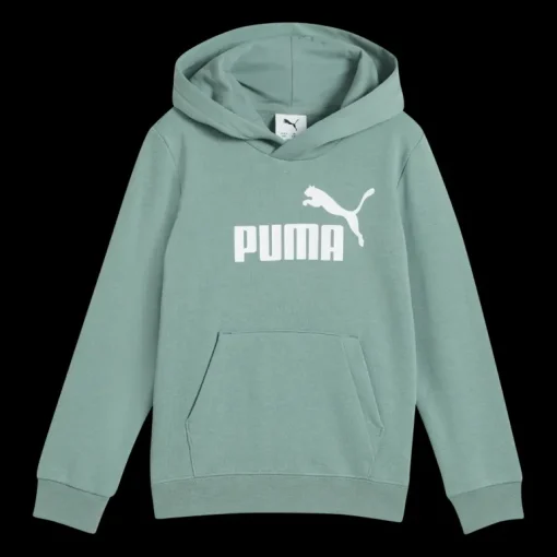 Essential No. 1 Logo Hoodie TR PS, huvtröja, barn - Fritidströjor - Essential No. 1 Logo Hoodie TR PS, huvtröja, barn