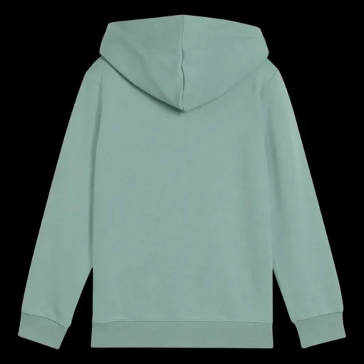 Essential No. 1 Logo Hoodie TR PS, huvtröja, barn - Fritidströjor - Essential No. 1 Logo Hoodie TR PS, huvtröja, barn