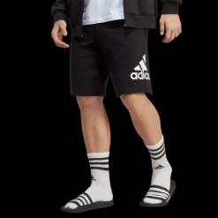 Essentials Big Logo French Terry Shorts, collegeshorts, herr - Fritidsshorts - Essentials Big Logo French Terry Shorts, collegeshorts, herr