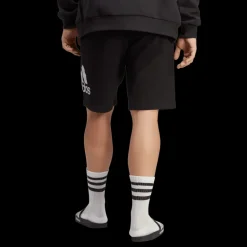 Essentials Big Logo French Terry Shorts, collegeshorts, herr - Fritidsshorts - Essentials Big Logo French Terry Shorts, collegeshorts, herr