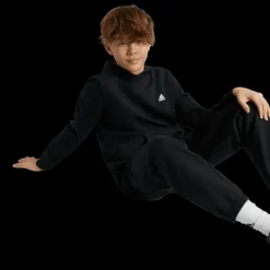 Essentials Small Logo Feel Cozy Fleece Hoodie, huvtröja, junior - Fritidströjor - Essentials Small Logo Feel Cozy Fleece Hoodie, huvtröja, junior