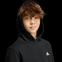 Essentials Small Logo Feel Cozy Fleece Hoodie, huvtröja, junior - Fritidströjor - Essentials Small Logo Feel Cozy Fleece Hoodie, huvtröja, junior