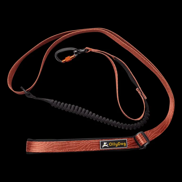 Flagstaff Adjustable Spring Leash - Koppel & Halsband - Flagstaff Adjustable Spring Leash