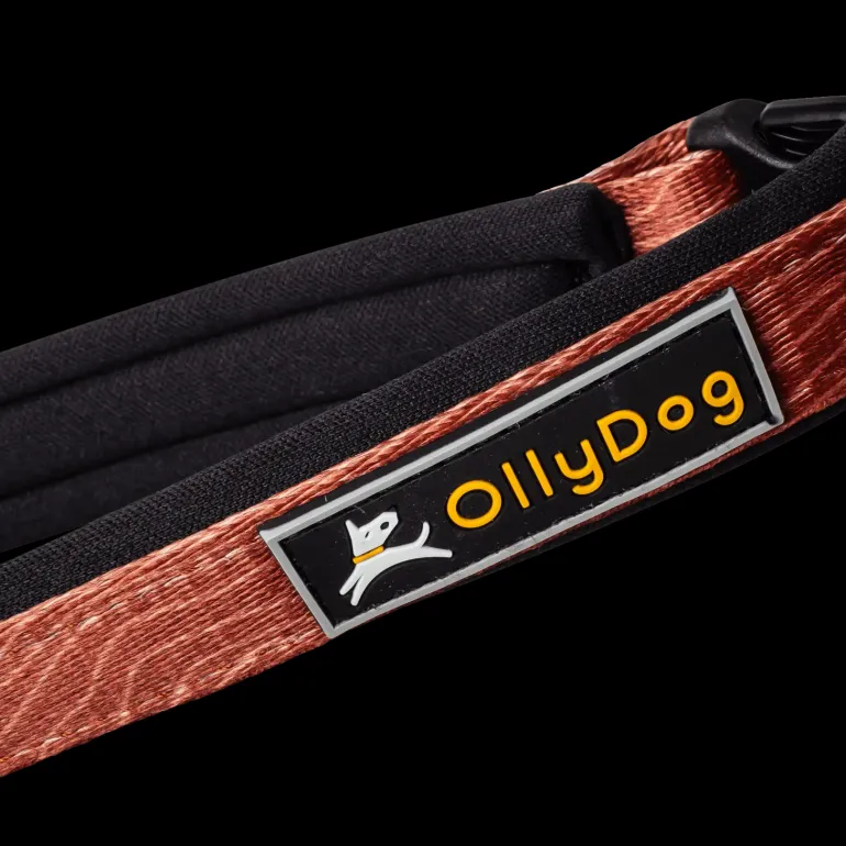 Flagstaff Adjustable Spring Leash - Koppel & Halsband - Flagstaff Adjustable Spring Leash