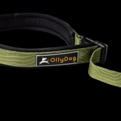 Flagstaff Adjustable Spring Leash - Koppel & Halsband - Flagstaff Adjustable Spring Leash