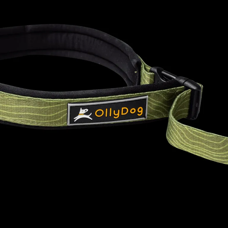 Flagstaff Adjustable Spring Leash - Koppel & Halsband - Flagstaff Adjustable Spring Leash