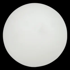 FZ Amaze Table Tennis Ball 1-Star - 12 st, bordtennisbollar - Tillbehör Bordtennis - FZ Amaze Table Tennis Ball 1-Star - 12 st, bordtennisbollar