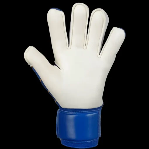 Gk Gloves 55 Extra Force V24, målvaktshandske, unisex - Målvaktsutrustning - Gk Gloves 55 Extra Force V24, målvaktshandske, unisex