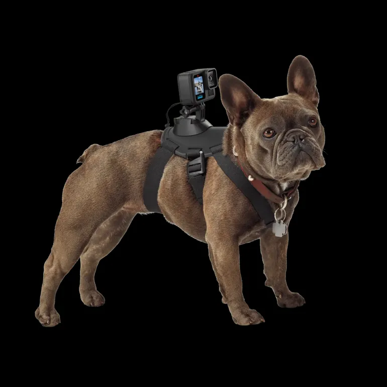 GoPro Fetch (Dog Harness) - Camera accessories - GoPro Fetch (Dog Harness)