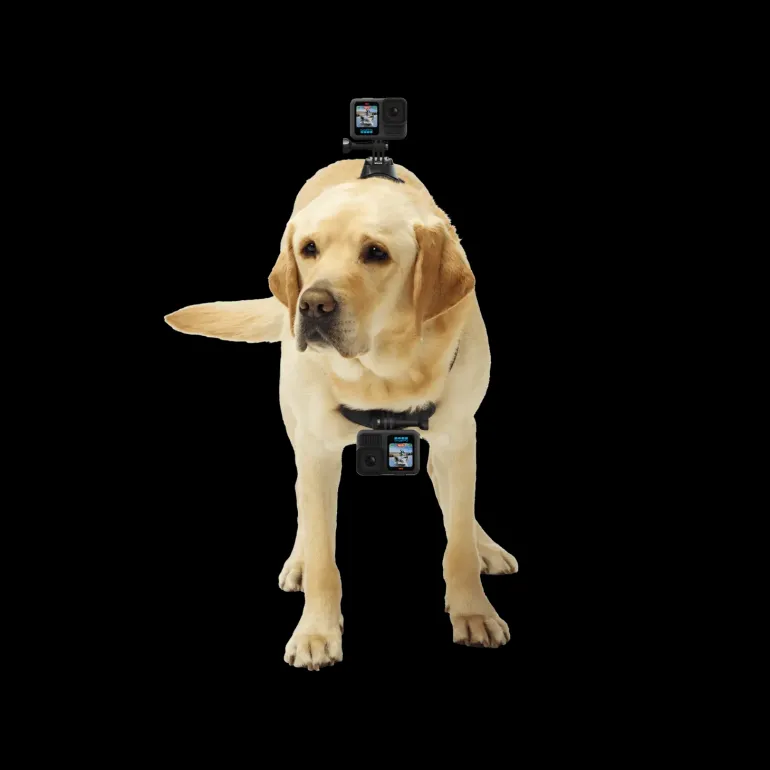 GoPro Fetch (Dog Harness) - Camera accessories - GoPro Fetch (Dog Harness)