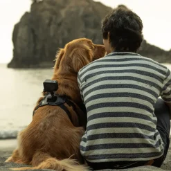 GoPro Fetch (Dog Harness) - Camera accessories - GoPro Fetch (Dog Harness)