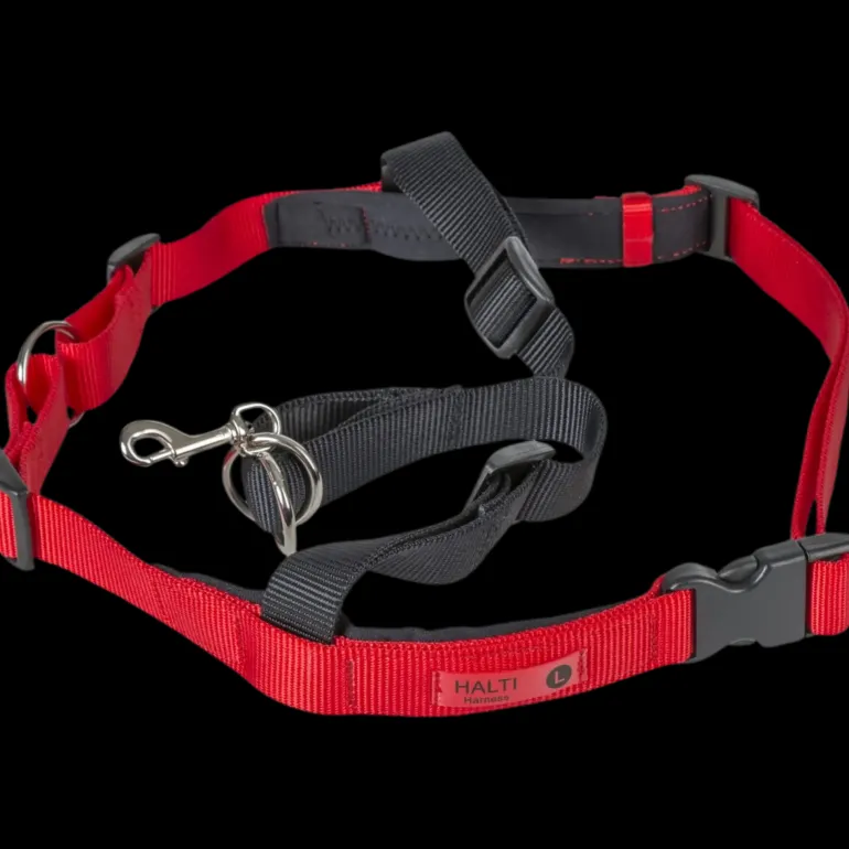 Halti Treningssele S - Koppel & Halsband - Halti Treningssele S