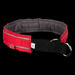 Halvstryp, hundhalsband - Koppel & Halsband - Halvstryp, hundhalsband