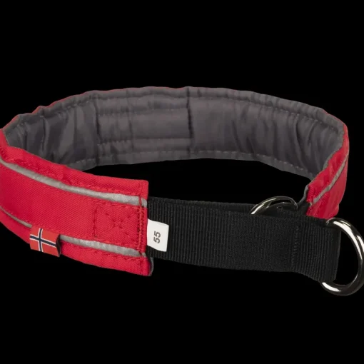Halvstryp, hundhalsband - Koppel & Halsband - Halvstryp, hundhalsband