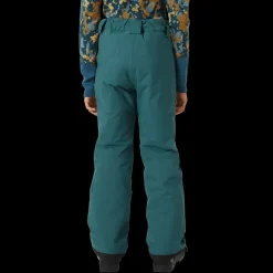 Legendary Pant, skidbyxor, junior - Vinterbyxor - Legendary Pant, skidbyxor, junior