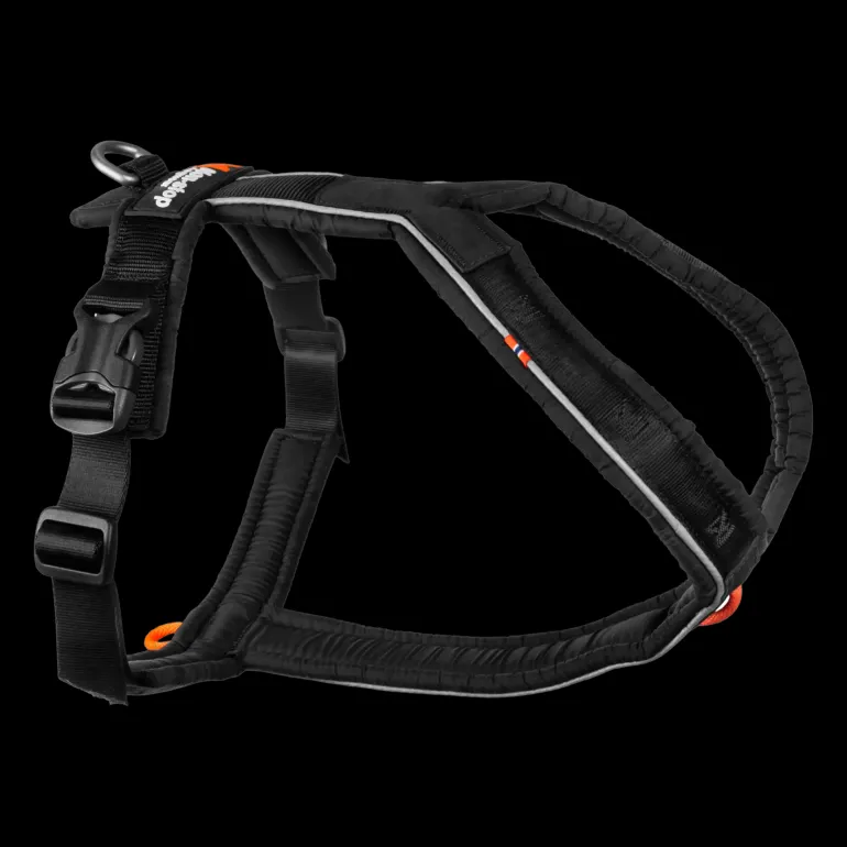 Line Harness 5.0, hundsele - Koppel & Halsband - Line Harness 5.0, hundsele