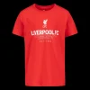 Liverpool Nº51 Cotton Tee, t-shirt, junior - Premier League - Liverpool Nº51 Cotton Tee, t-shirt, junior