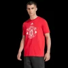 Manchester United Dna Graphic Tee, t-shirt, herr - Premier League - Manchester United Dna Graphic Tee, t-shirt, herr