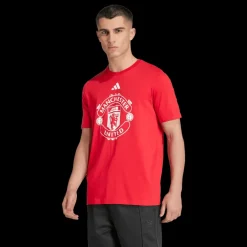 Manchester United Dna Graphic Tee, t-shirt, herr - Premier League - Manchester United Dna Graphic Tee, t-shirt, herr
