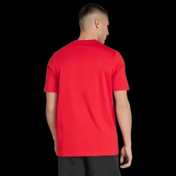 Manchester United Dna Graphic Tee, t-shirt, herr - Premier League - Manchester United Dna Graphic Tee, t-shirt, herr