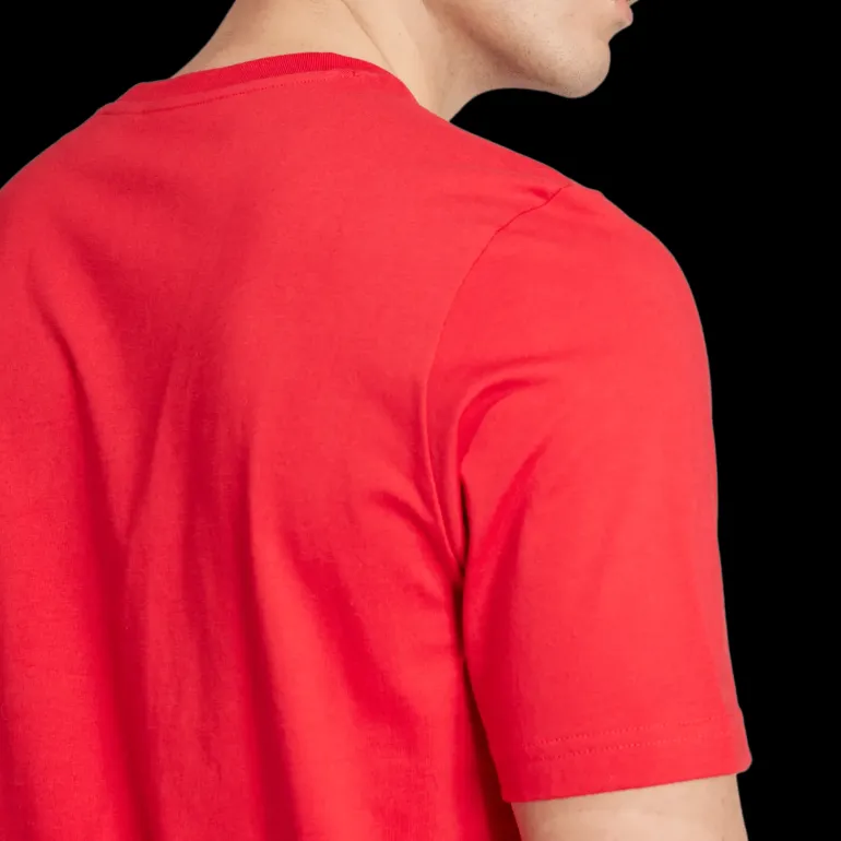 Manchester United Dna Graphic Tee, t-shirt, herr - Premier League - Manchester United Dna Graphic Tee, t-shirt, herr