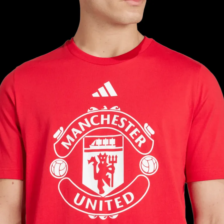 Manchester United Dna Graphic Tee, t-shirt, herr - Premier League - Manchester United Dna Graphic Tee, t-shirt, herr