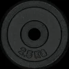 25 mm Weightplate - 2.5kg, viktskiva - Viktskivor - 25 mm Weightplate - 2.5kg, viktskiva