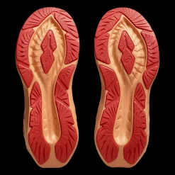 Novablast 5 Gs, löparskor, barn, junior - Löparskor Barn - Novablast 5 Gs, löparskor, barn, junior