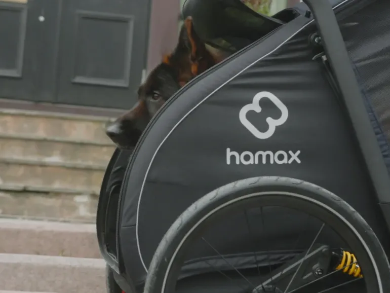 Pluto Medium, hundvagn - Vagnar - Pluto Medium, hundvagn