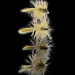 Pool 12 4-pack Flugor - Flugor - Pool 12 4-pack Flugor