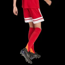 Squadra 25 Shorts, fotbollsshorts, junior - Shorts - Squadra 25 Shorts, fotbollsshorts, junior