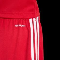 Squadra 25 Shorts, fotbollsshorts, junior - Shorts - Squadra 25 Shorts, fotbollsshorts, junior