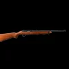 10/22 Standard .22LR salongsgevär - Salongsgevär - 10/22 Standard .22LR salongsgevär