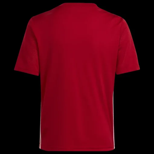 Tabela 23 Jersey, träningströja junior - T-Shirts - Tabela 23 Jersey, träningströja junior