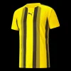 teamLIGA Striped Jersey Jr, träningströja junior - T-Shirts - teamLIGA Striped Jersey Jr, träningströja junior