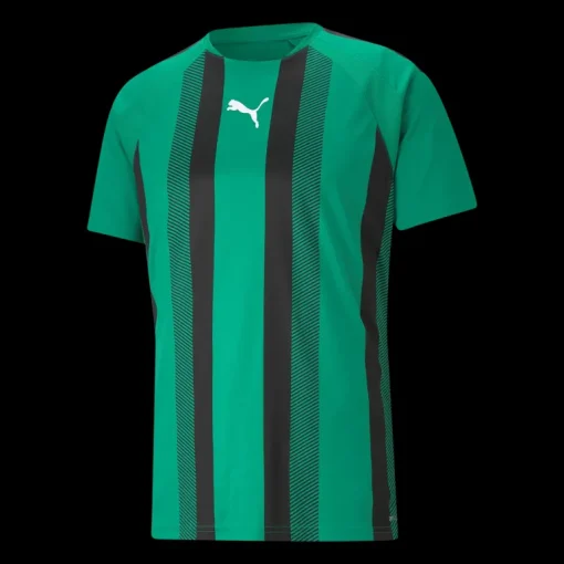 teamLIGA Striped Jersey Jr, träningströja junior - T-Shirts - teamLIGA Striped Jersey Jr, träningströja junior