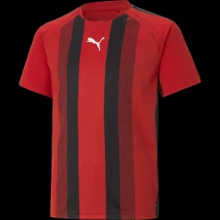 teamLIGA Striped Jersey Jr, träningströja junior - T-Shirts - teamLIGA Striped Jersey Jr, träningströja junior